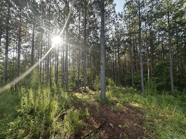 153 Beech Rd Lot 139, Hohenwald, TN 38462