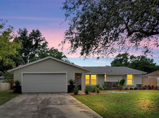 4103 Fallon Ct, Brandon, FL 33511