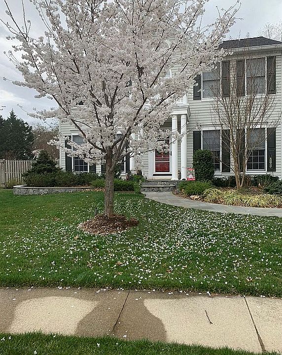 1st image of 7740 Island Creek Ct