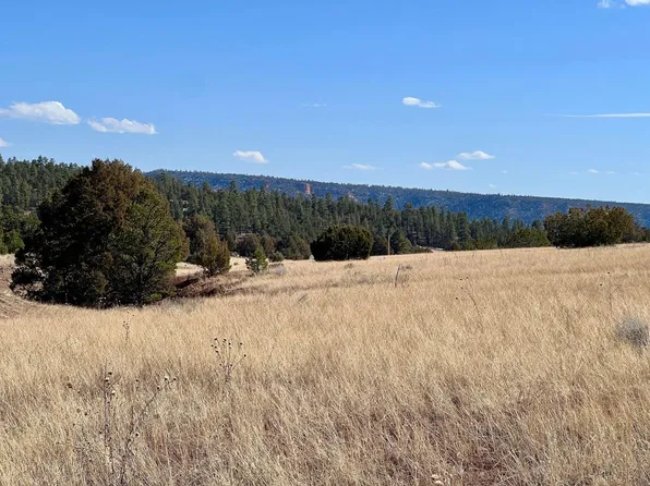 LOT 9 Juniper, Ramah, NM 87321