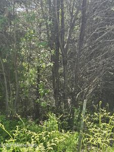 1200 Alpine Dr, Fernwood, ID, 83830