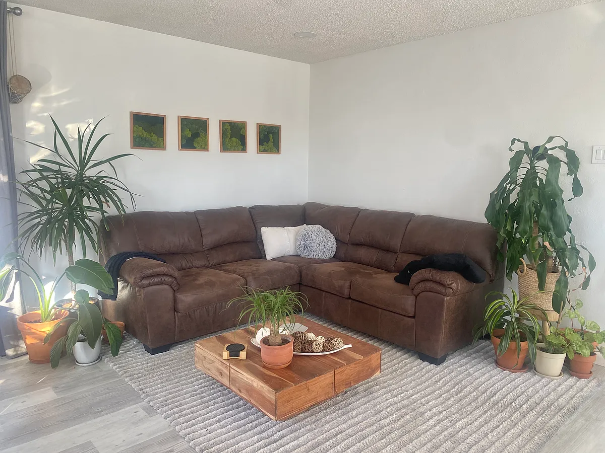 Building Photo - 9669 Orangewood Dr