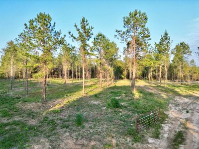 0 State Highway 223, Banks, AL, 36005