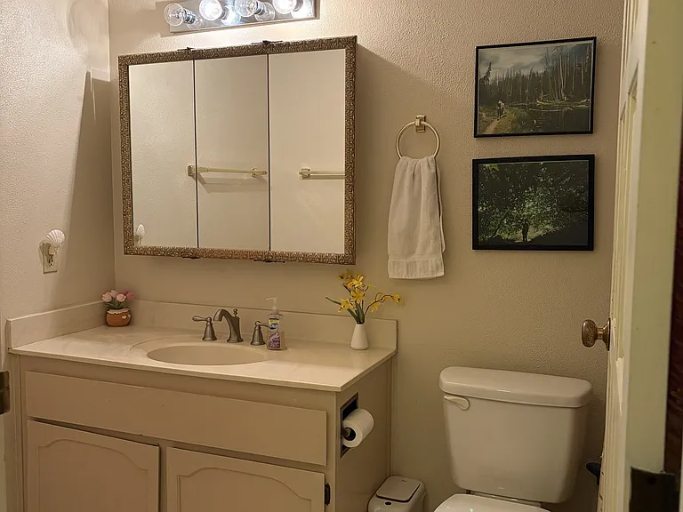 Bathroom #1