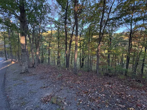 LOT 41 Wildwood Rdg, Caldwell, WV 24925