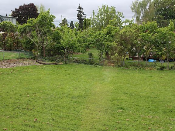 Huge fenced backyard