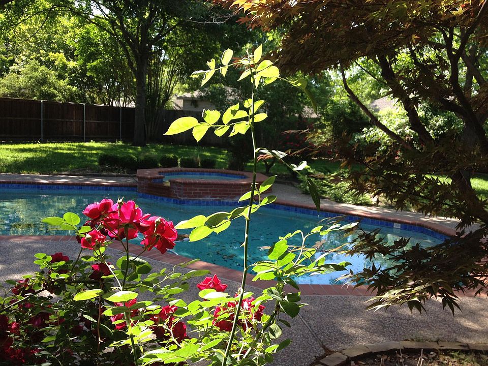 The zen back-yard