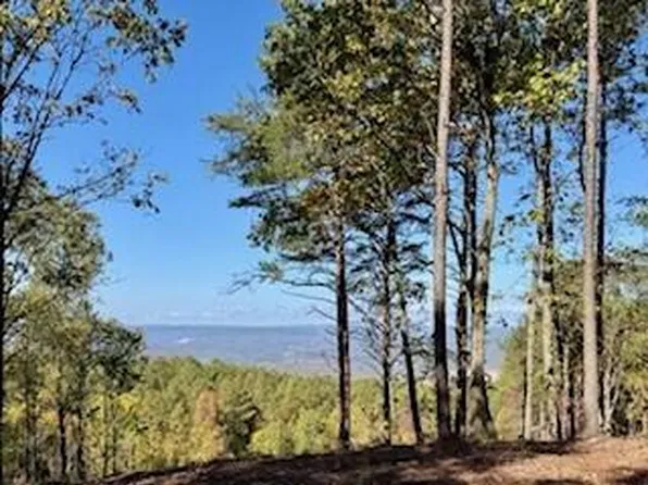 0 Top Shelf St #2128, Guild, TN 37340
