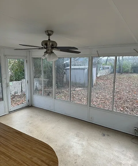 207 Lutie St — Photo 14