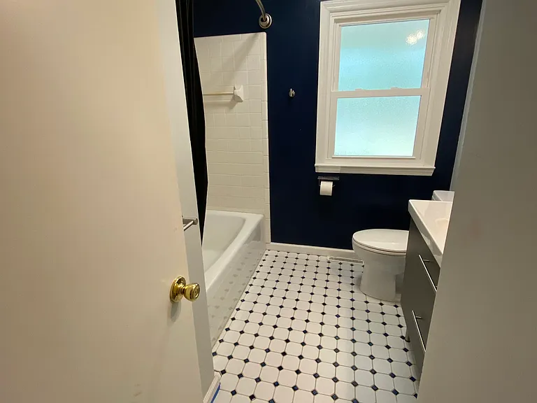 bath 2/hall bathroom
