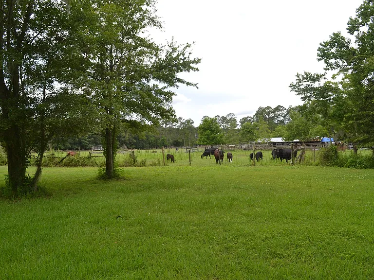 side of the property