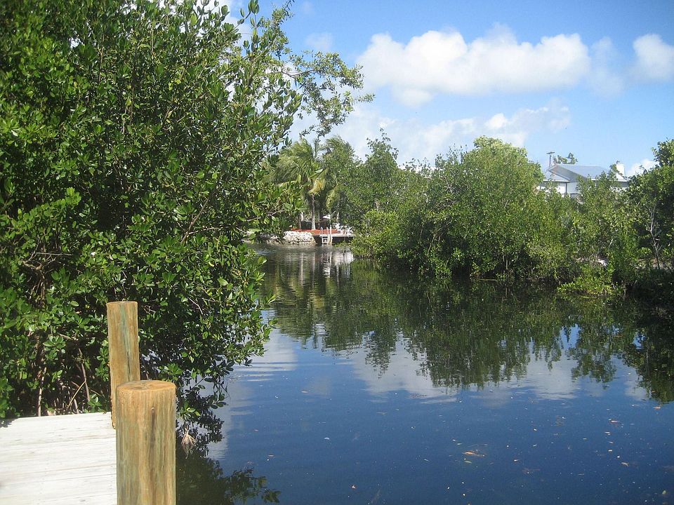 View from dock of Canal