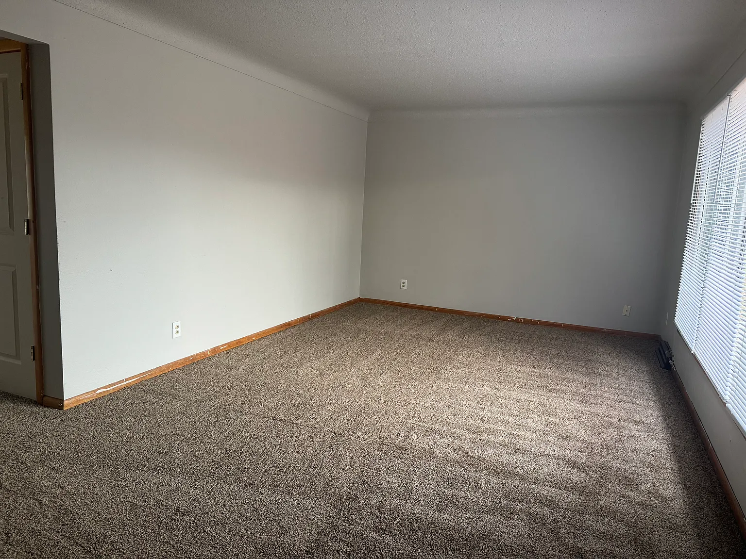 5 Bed / 2 Bath Duplex near MSUM! Available NOW!! — Photo 4