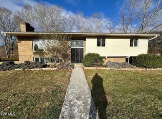 225 Mandan Rd, Kingsport, TN 37664