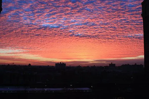 Rented by Barlavi Inc. | media 1