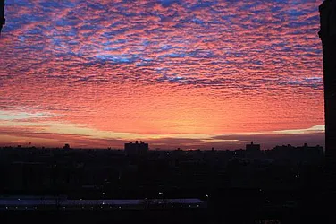 Rented by Barlavi Inc.