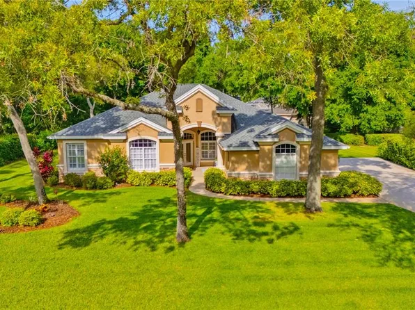 6125 Audubon Manor Blvd, Lithia, FL 33547