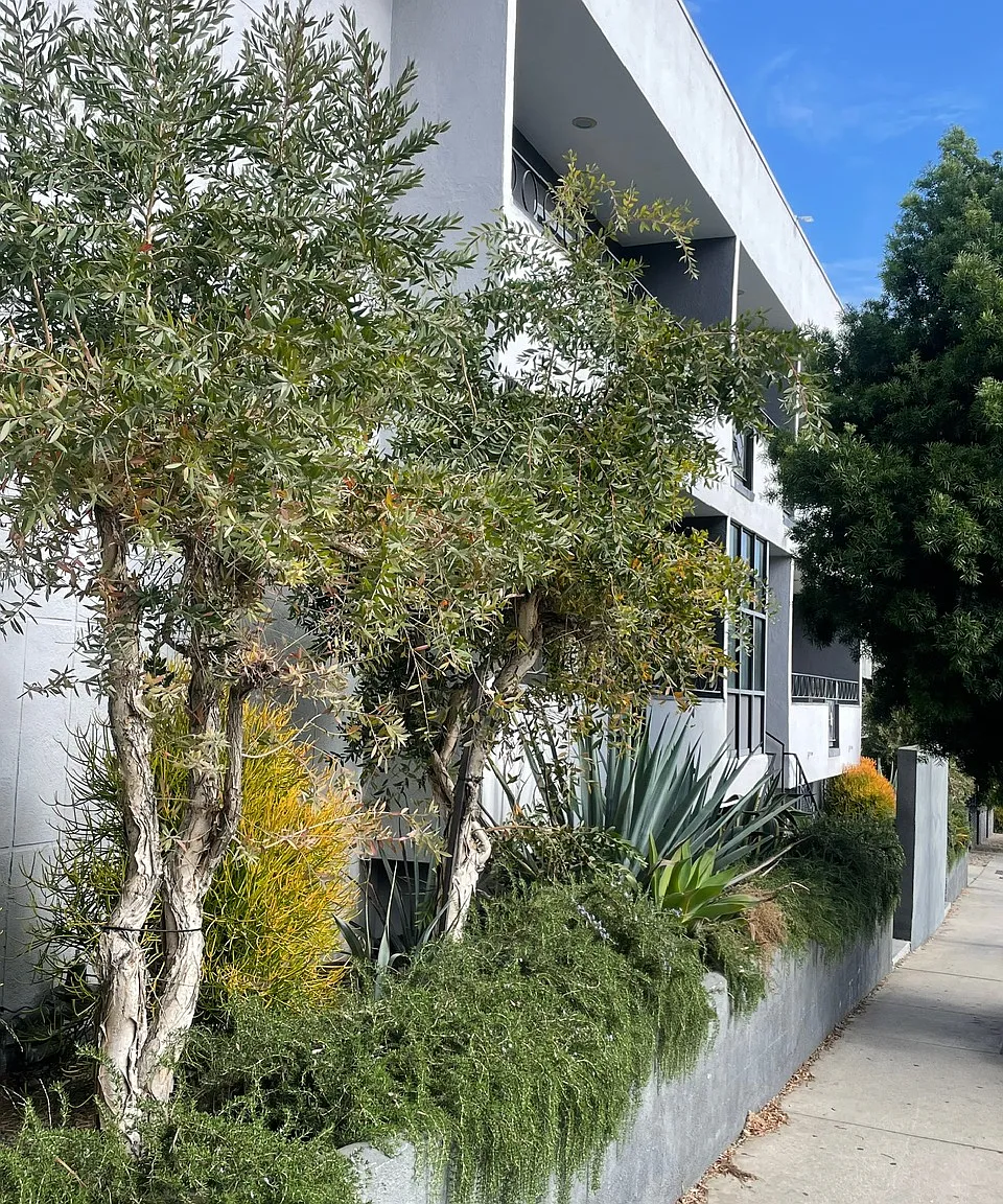 2 bed, 1100 sqft, $2,695 — Photo 1
