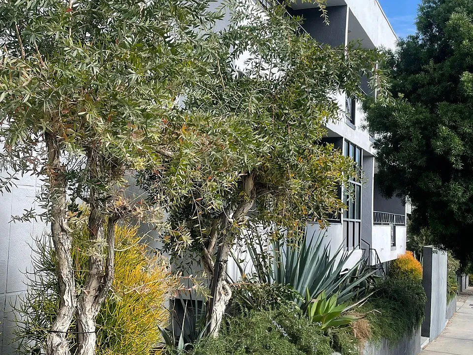 1400 N Fairfax Ave #4