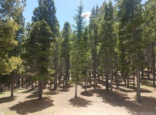 32036 Edward Dr, Conifer, CO 80433