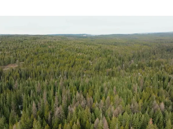 0 Ross Rd, Meacham, OR 97859