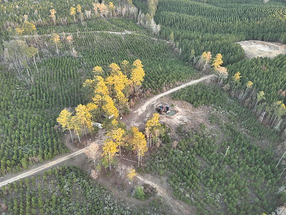 5th image of Cypress Creek Field Rd