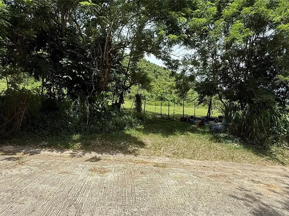 (undisclosed Address), Cayey, PR 00736