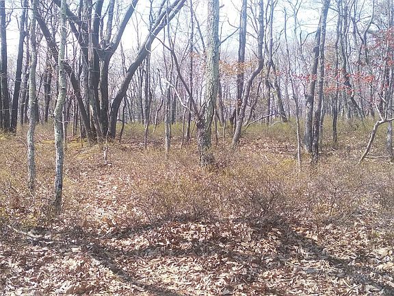 4th image of Erii 397 8 Crooked Stick Ln