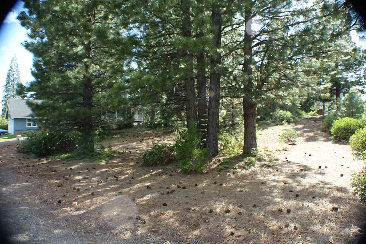 303 Durkin Dr photo 1