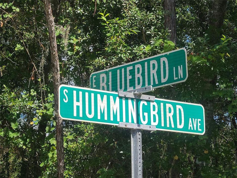 2nd image of 6837 E Bluebird Ln