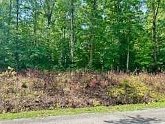 1st image of 78 Holly Glen Ln Lot 78