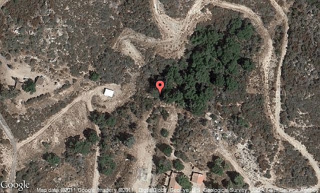 Map View