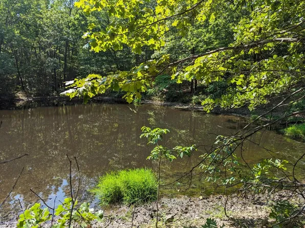 County Road 36 Harman Rd, Clarkridge, AR 72623