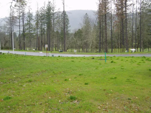 1335 Green Valley Dr, Cave Junction, OR 97523