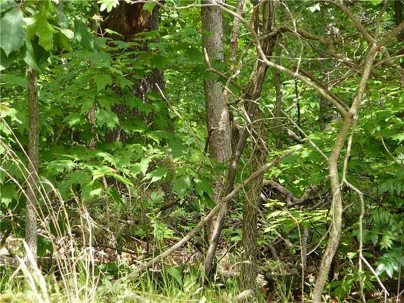 2nd image of Delbeattie Ln