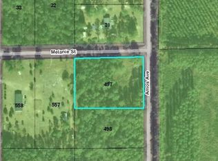 10005 Amos Ave, Hastings, FL 32145