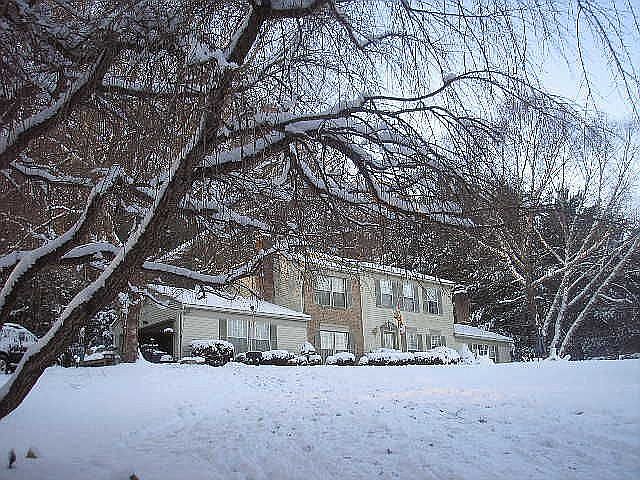 Front View- Snowy Day