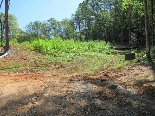 0 W Cowee Crk, Franklin, NC 28734
