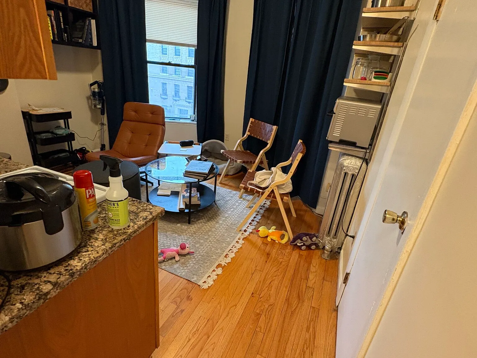 1 bed, 550 sqft, $2,600 — Photo 3