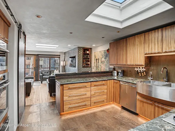 100 E Dean St Unit 3C, Aspen, CO 81611