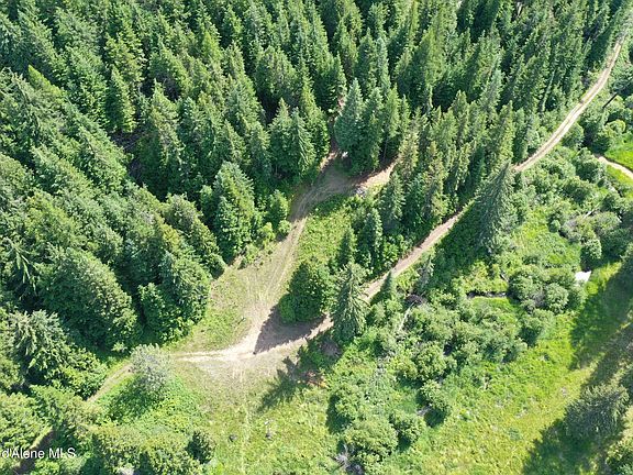 5th image of 2319 Thorn Creek Rd