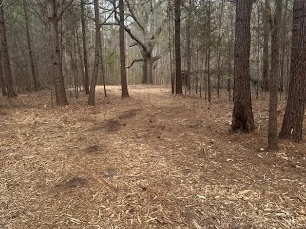 0 Main St Lot 2, Milner, GA 30257