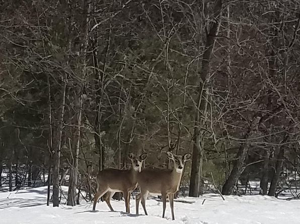 Pheasant Run, Gaylord, MI 49735