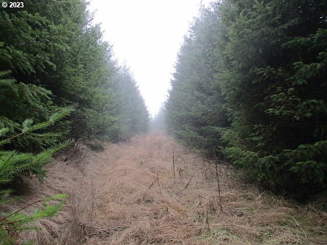 1st image of 0 SW Buck Hollow Rd