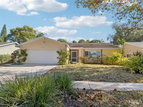 2329 E Orangehill Ave, Palm Harbor, FL 34683