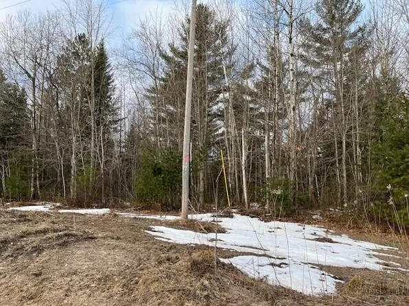 0 County Road 505, Newberry, MI 49868