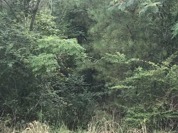 Constellation Ave #1, Alpine, AL 35014