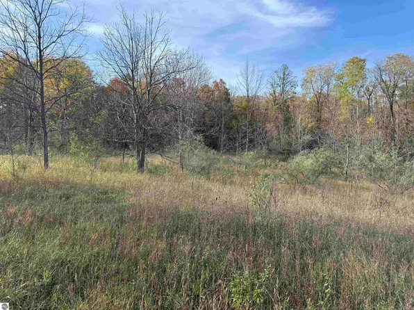 PARCEL 4 S Tower Rd, Maple City, MI 49664