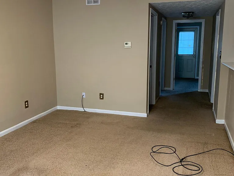 Living Room has no carpet. Brand new vinyl flooring was just laid. Unit was completely repainted.