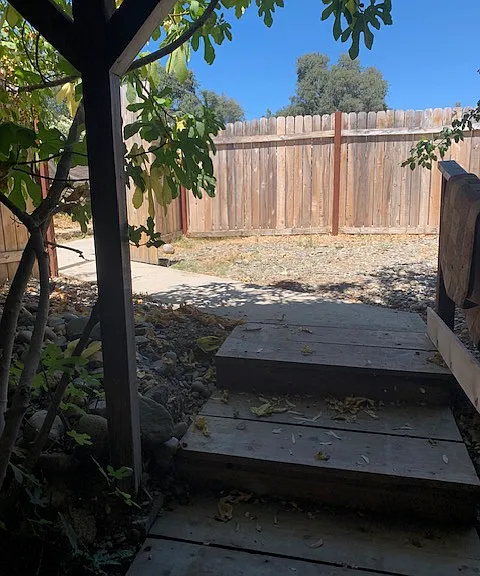 Dogtown Rd — Photo 11